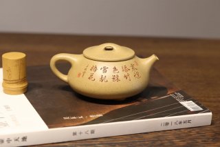 《石瓢》宜興紫砂壺石瓢蟹殼青泡茶壺