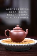 《小禪意》宜興紫砂壺手工助理工藝美術(shù)師紫泥壺茶壺茶具