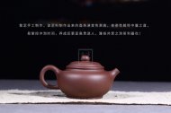 《喜上枝頭》宜興紫砂壺全手工茶壺茶具紫泥