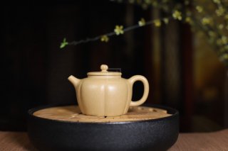 《菊蕾》宜興紫砂壺助理工藝美術(shù)師手工標本級本山段泥泡茶壺菊蕾茶具